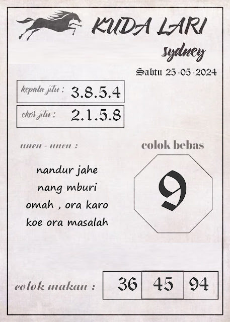 SYAIR SDY VIP